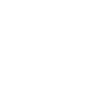 back brace Icon