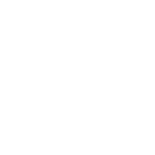 prosthestic icon